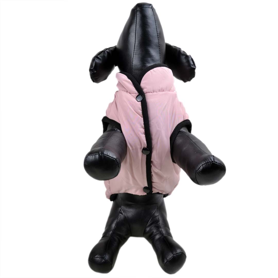 Pink dog anorak for the cold winter