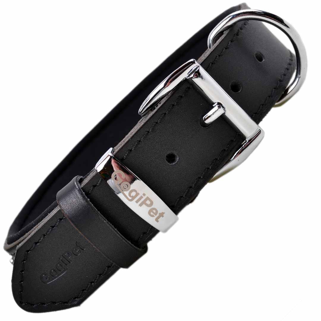 Soft padded dog collars made from sturdy black leather