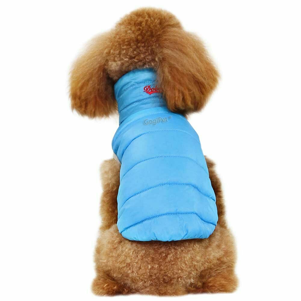 dog reversible jacket blue or red, depending on your mood