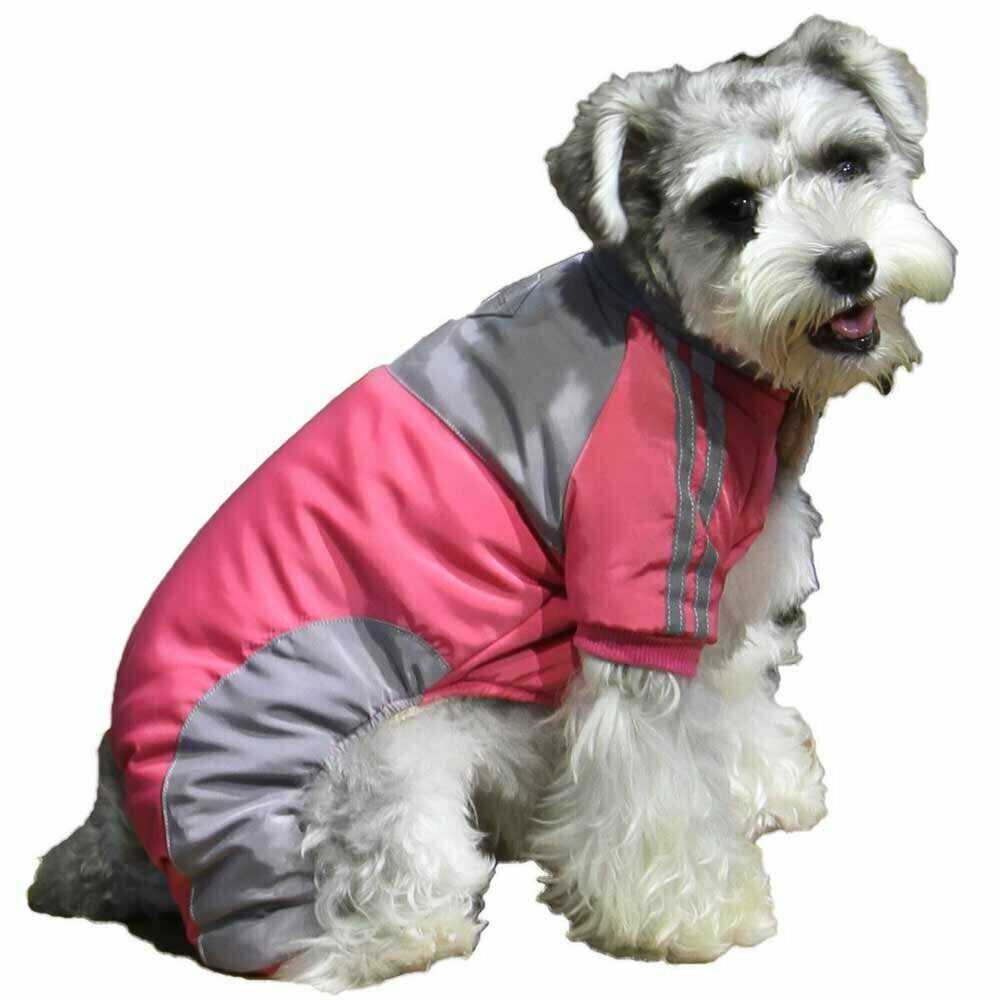 Pink dog coat "Karin" - warm dog clothes