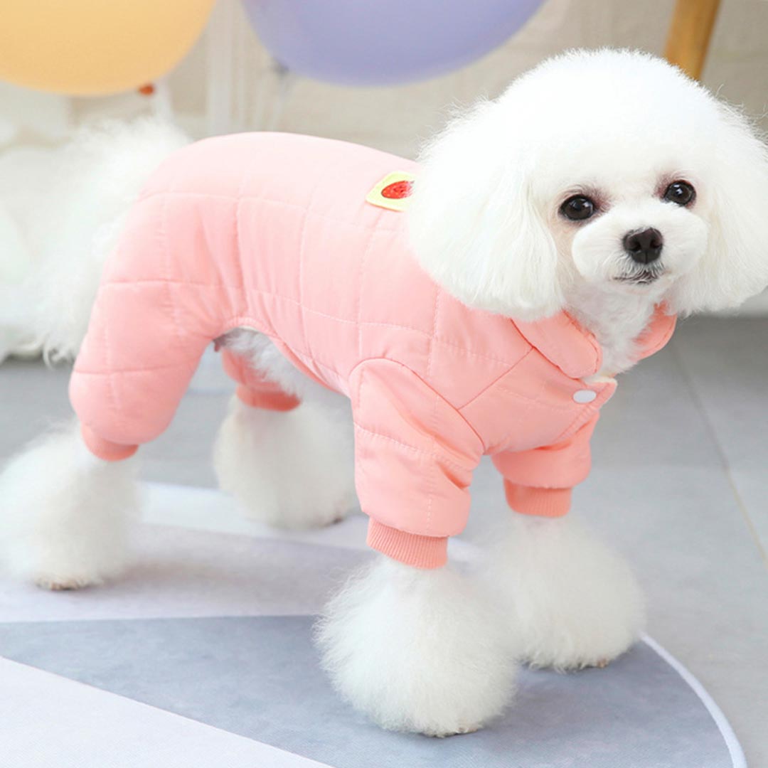 Pink Strawberries Dog Coat with Warm Polar Fleece Lining