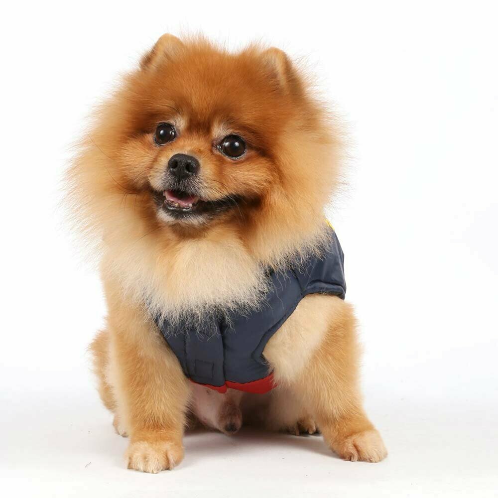 Warm dog clothes by DoggyDolly W049