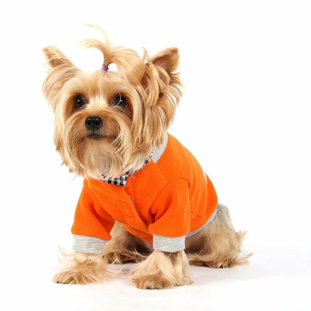 Warmer for dogs Suit orange by DoggyDolly W304