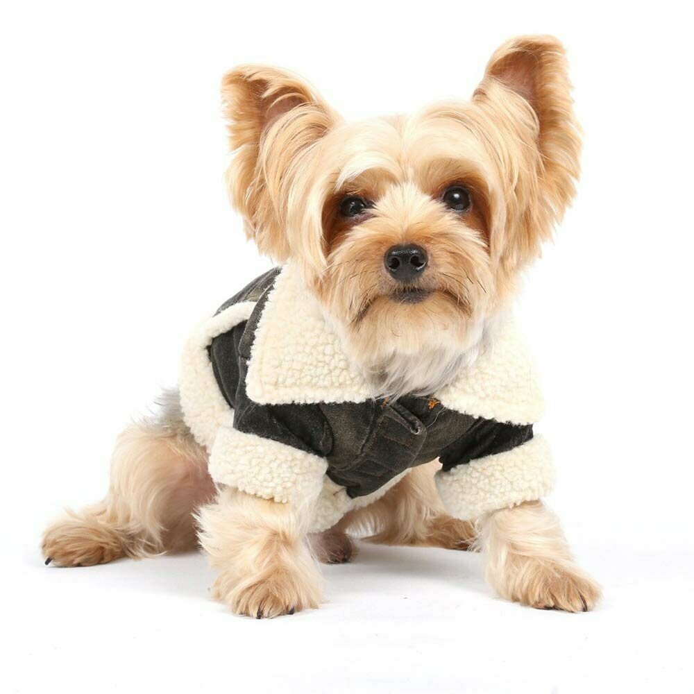 Warm dog coat with fur and jeans