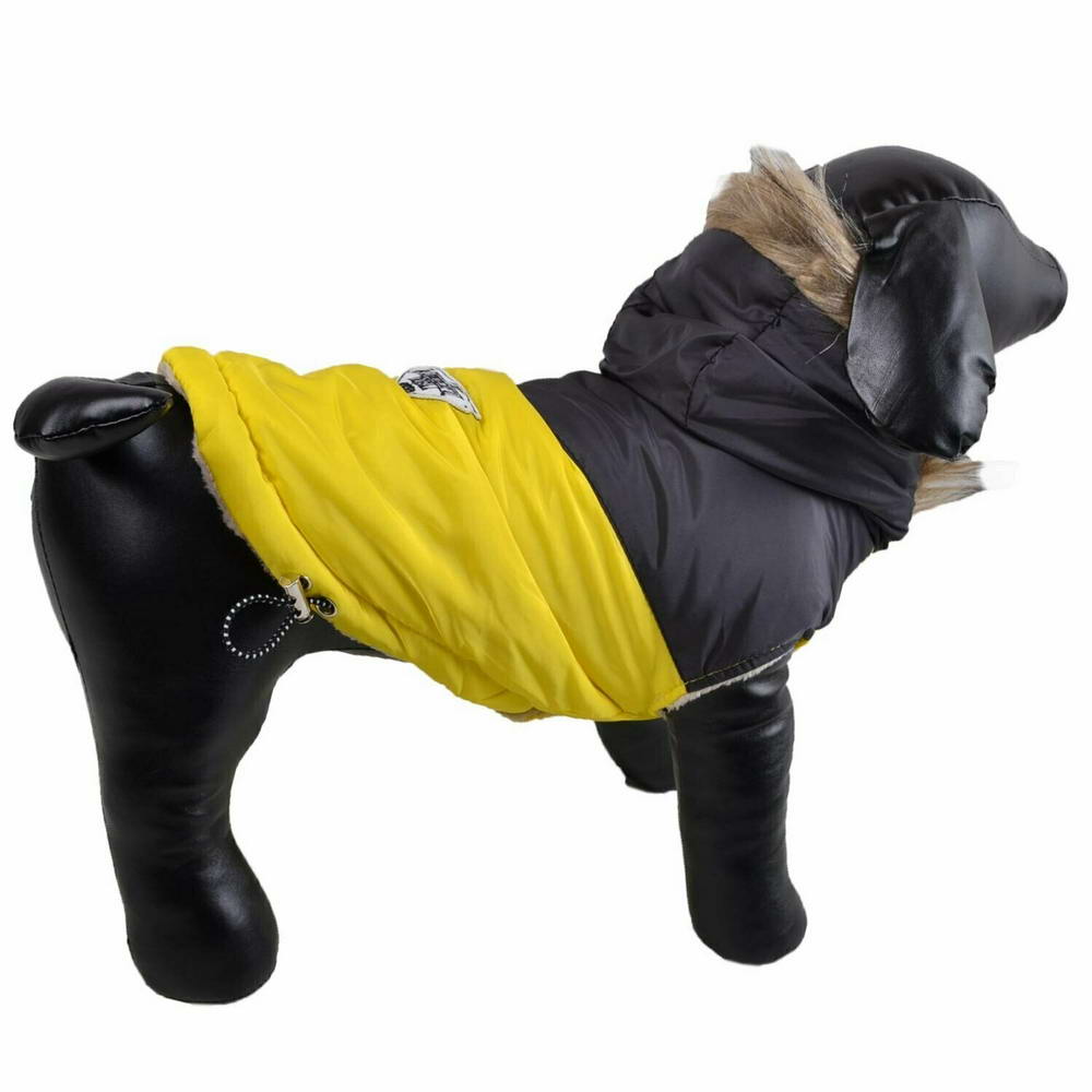 Warm dog jacket for small dogs