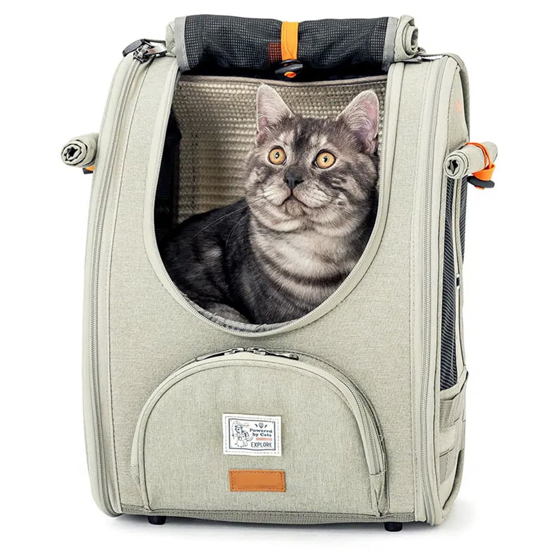 Aeroplane Backpack for Cats