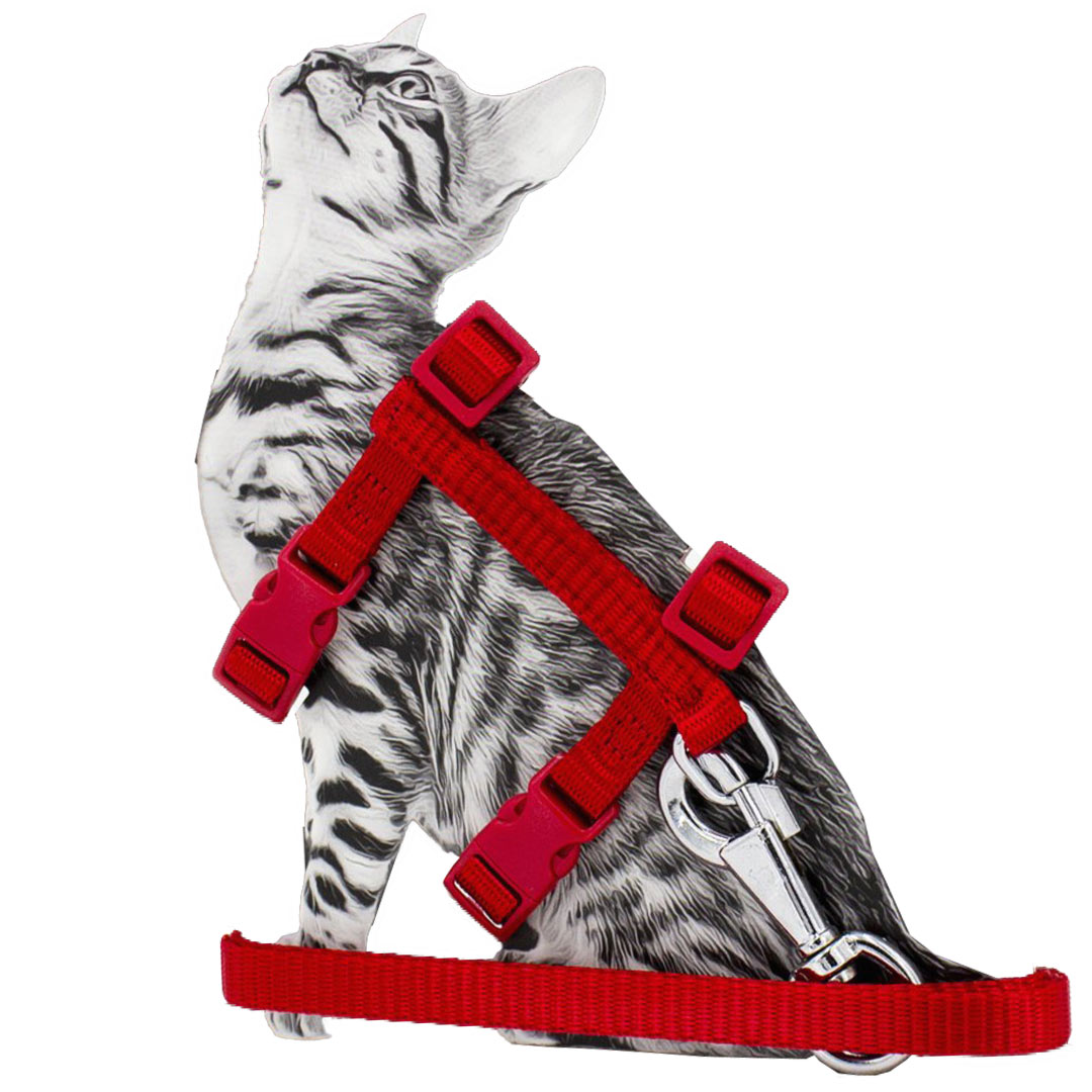 Red Super Premium cat harness with leash
