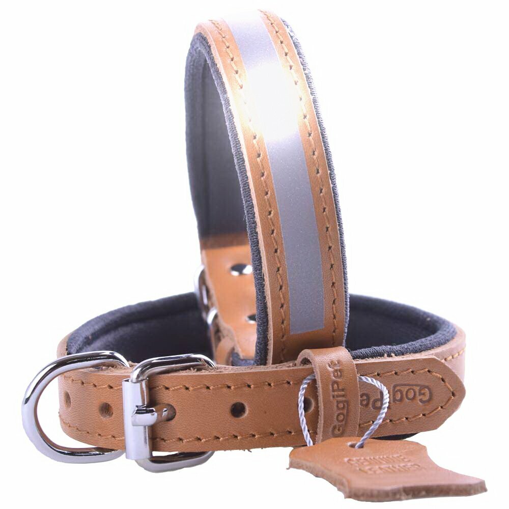 Brown leather dog collar with luminous stripes from GogiPet®