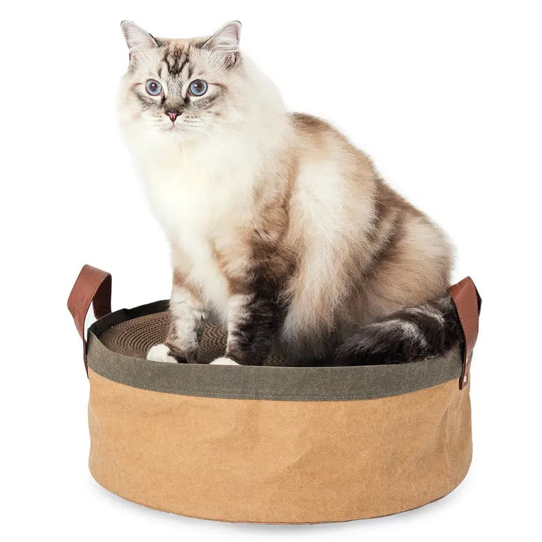 Cat scratching pad with cat bed