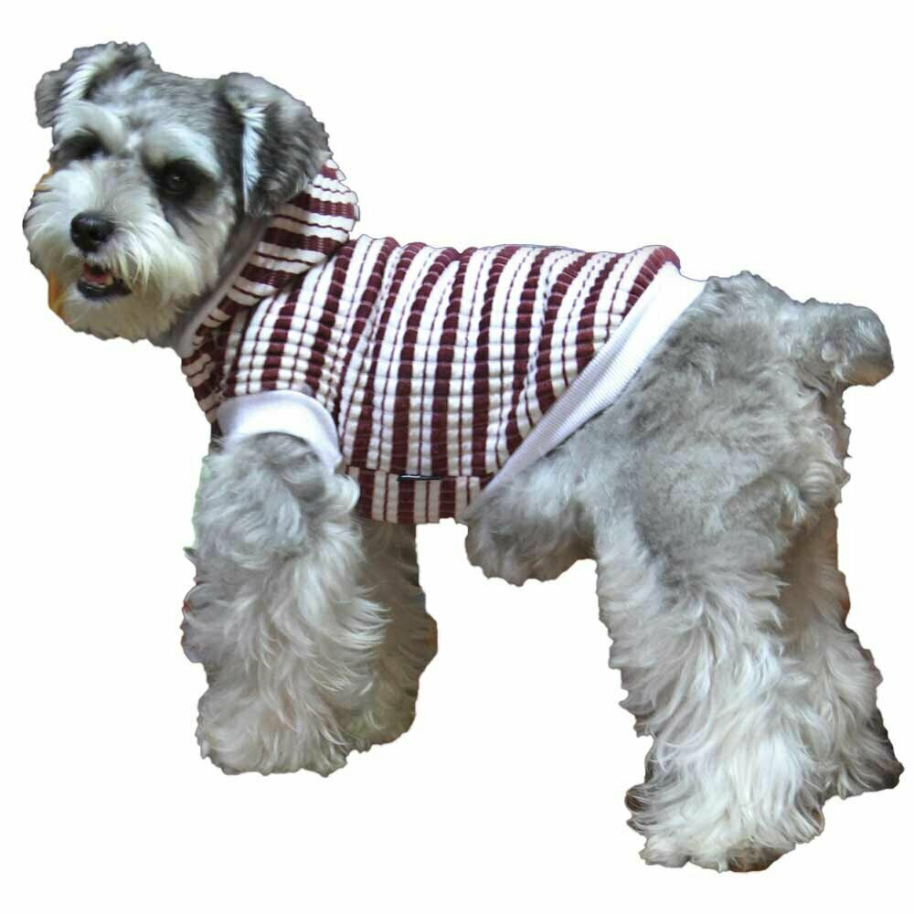 Warm sweater for dogs of GogiPet