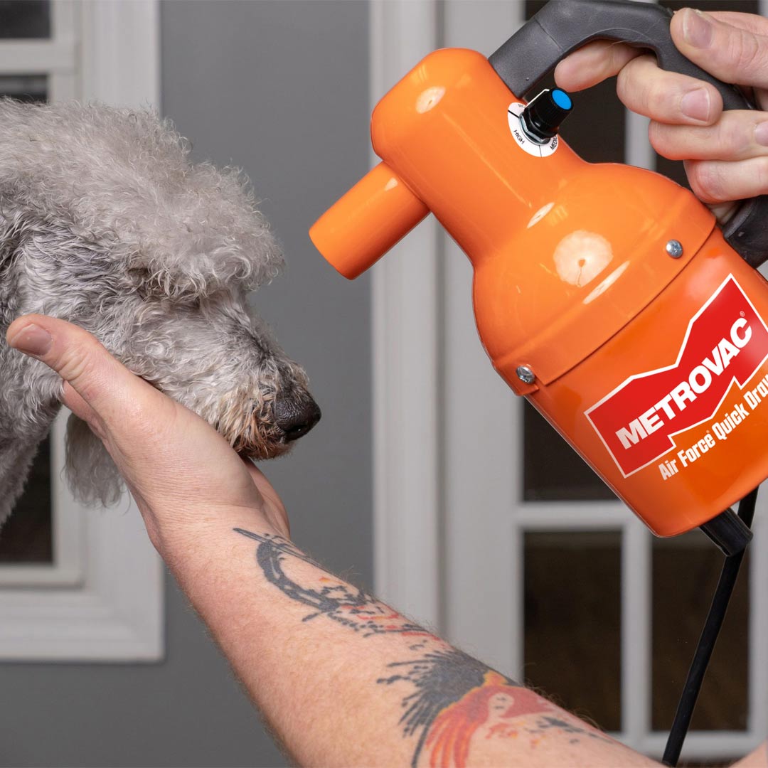 Small handy, professional dog dryer from Metro with variable speed