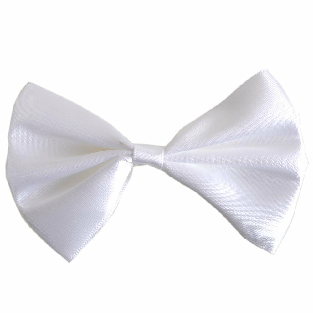 Whtie bow tie for dogs by GogiPet®
