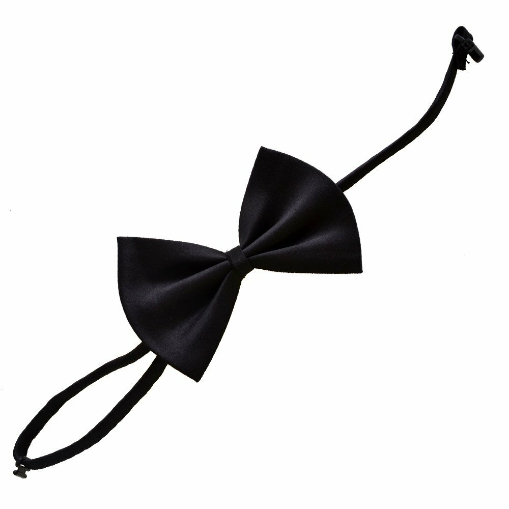 Extraorinary black bow tie for dogs
