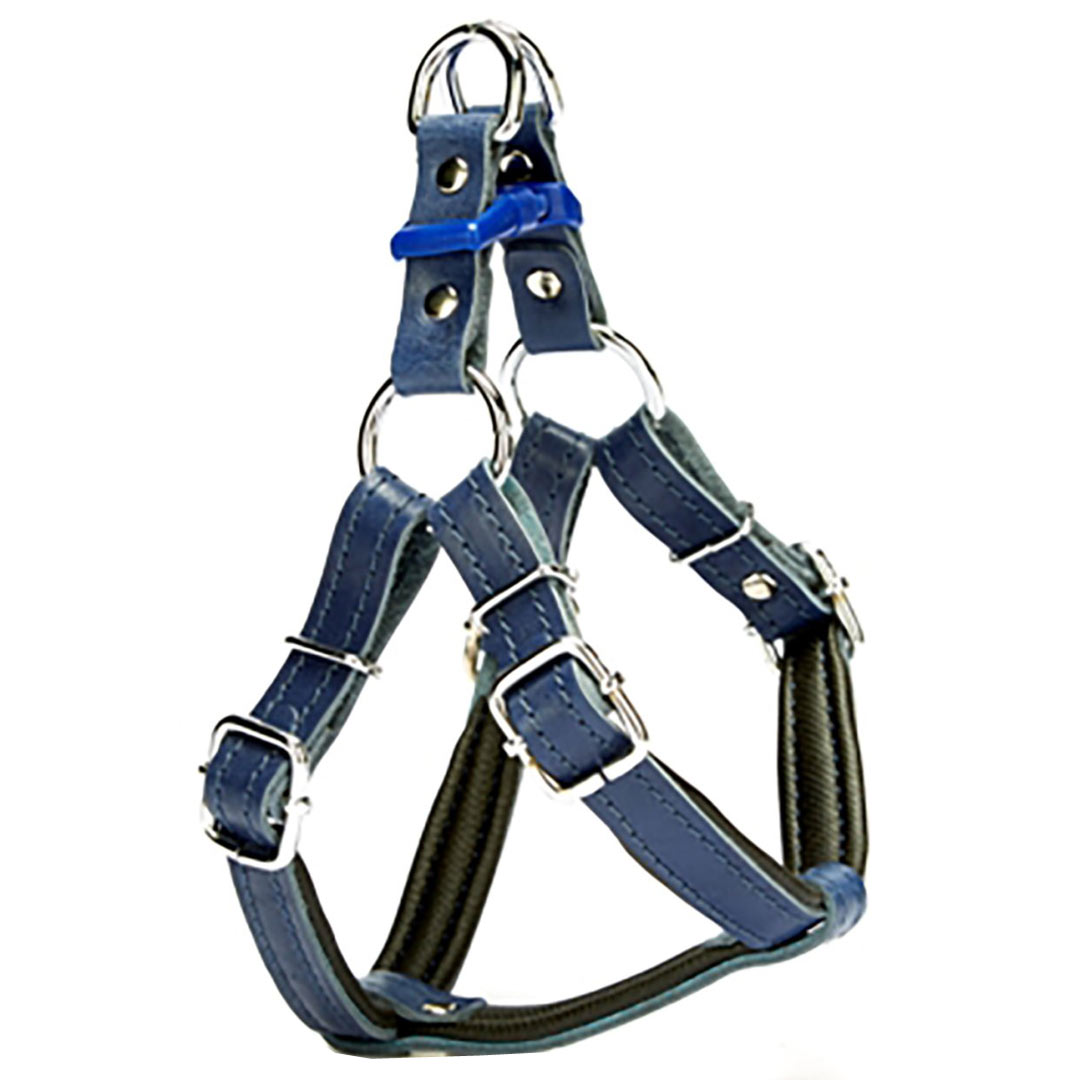 Soft padded dog harness in blue leather