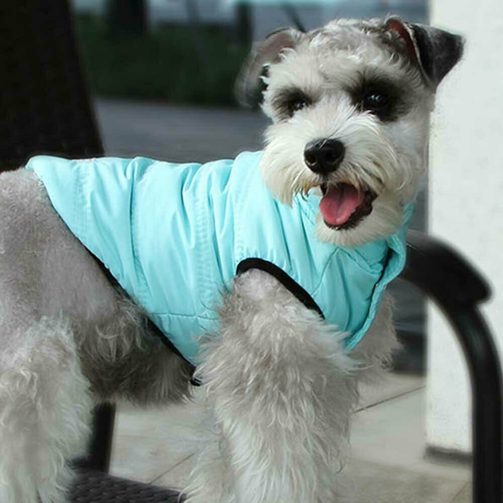 Very warm dog clothing from GogiPet
