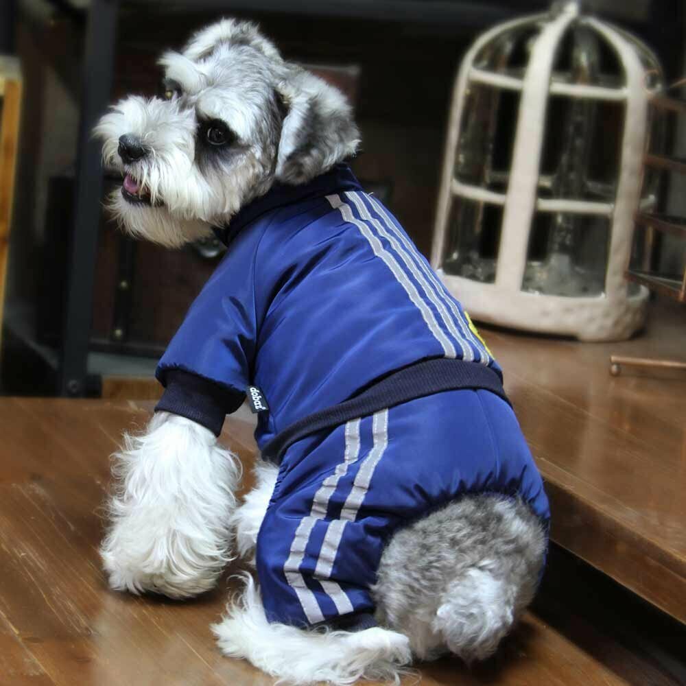 Warm snow suit for dogs blue