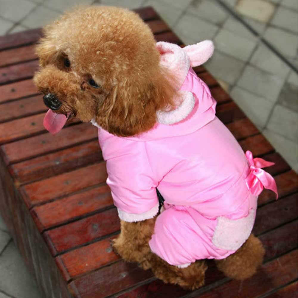 Pink colored snow suit for dogs