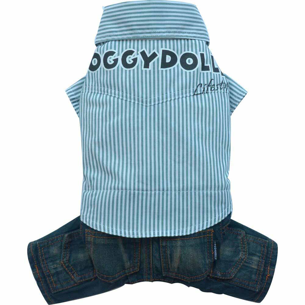 Buy branded dog clothes cheap at Onlinezoo
