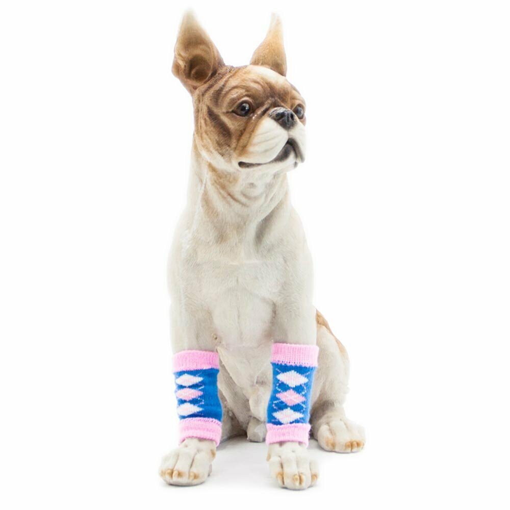 Warm dog legwarmer blue with pink diamonds