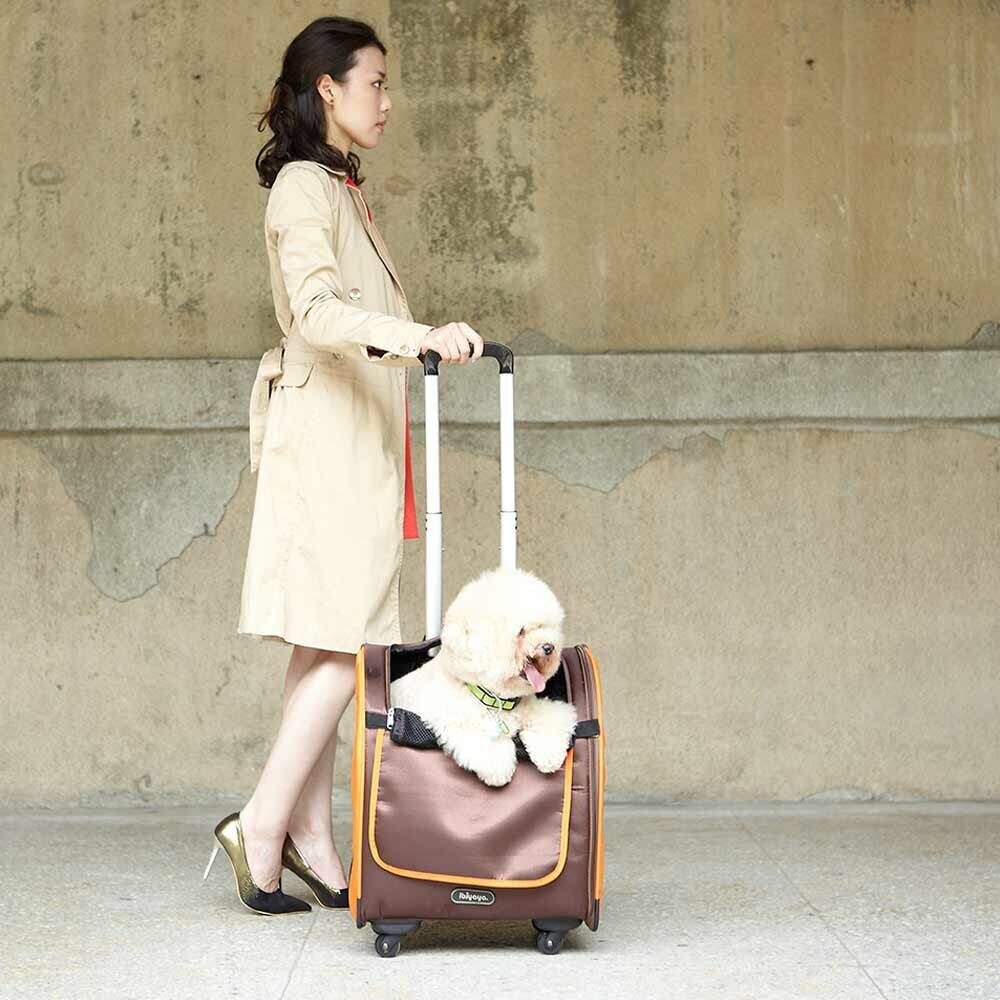 Luggage design dog trolley and dog rucksack