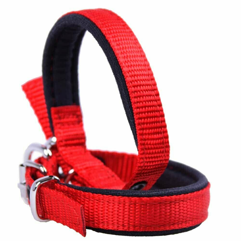Padded GogiPet® comfort Super Premium dog collar red