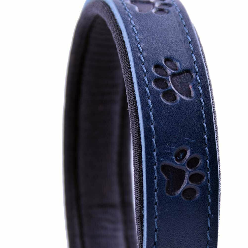 Soft padded, blue dog collar with 3D paws