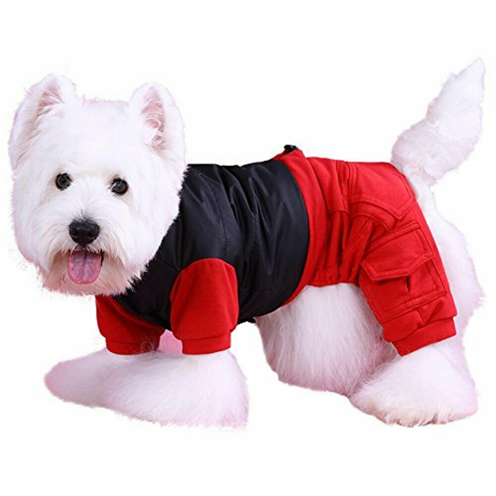 Warm clothing by DoggyDolly