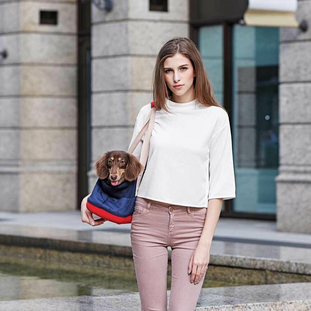 Dog carrier for fashion-conscious dogs