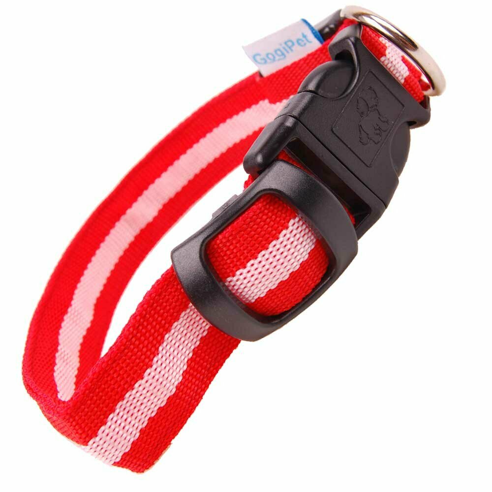 Size adjustable GogiPet ® LED collar red L