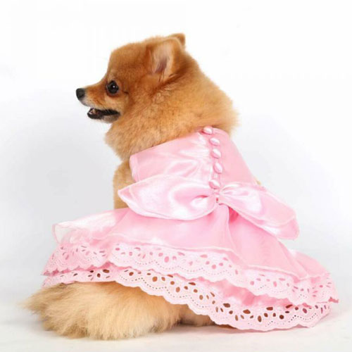 Wedding Dresses and Bridesmaid Dresses for Dogs