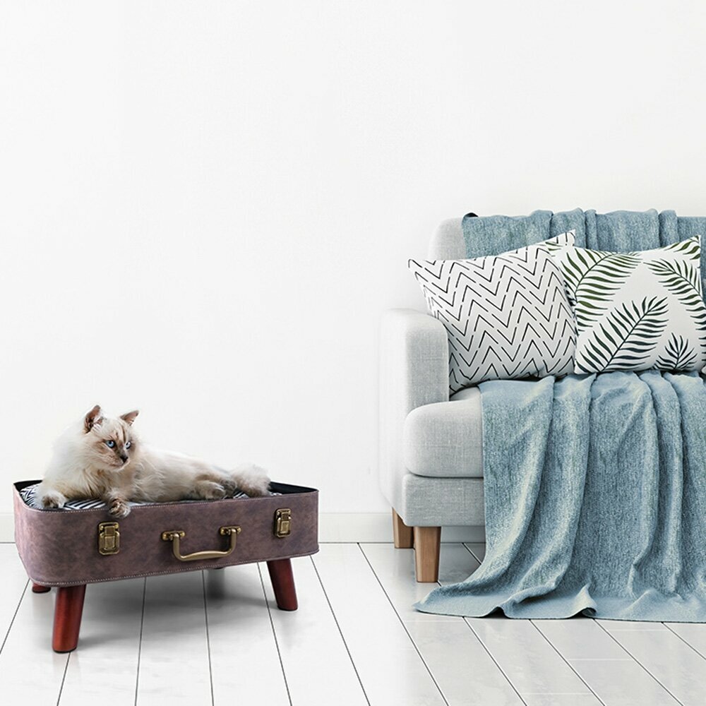 Cat bed and dog bed Vintage suitcases