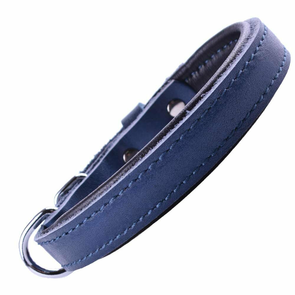 Very high quality blue leather dog collar