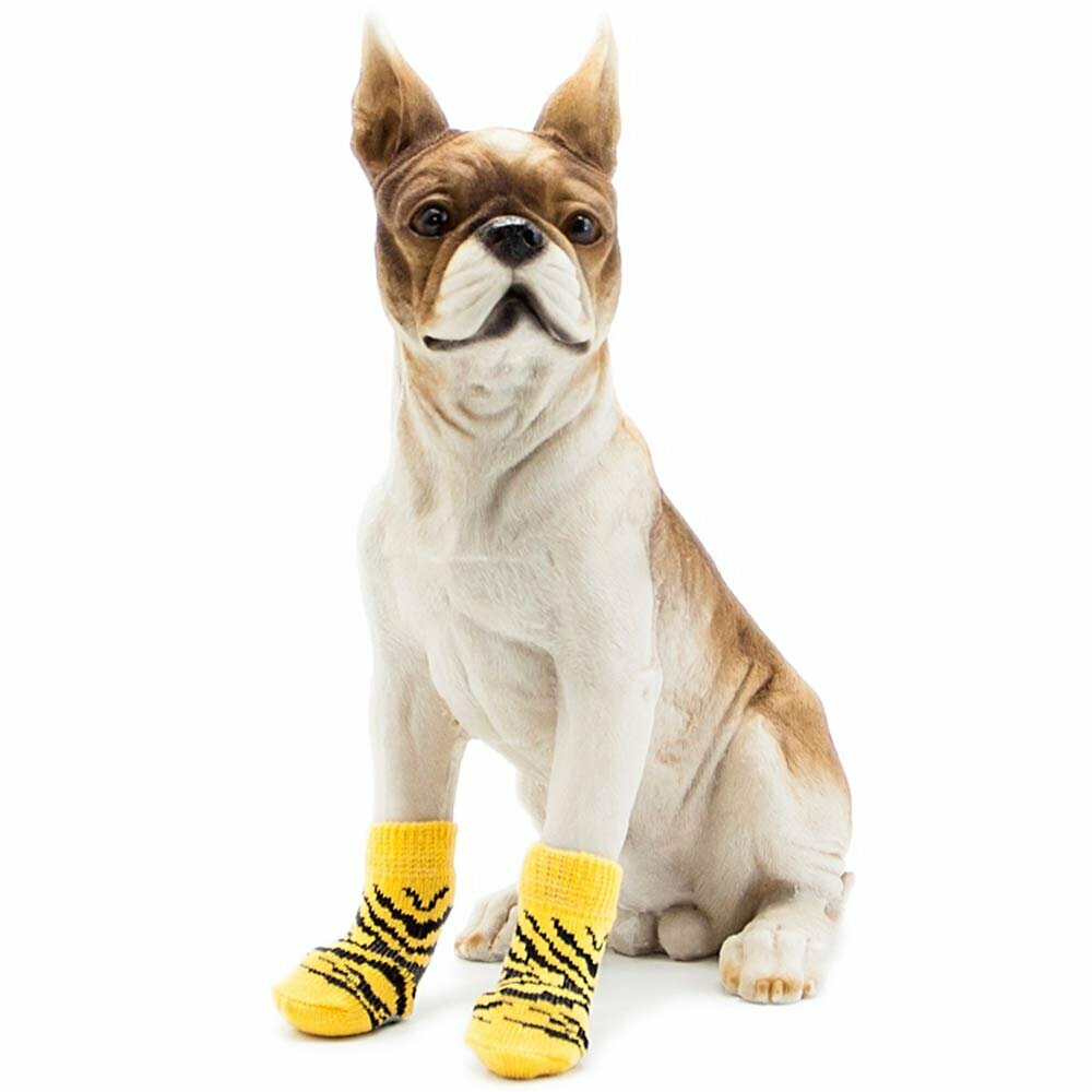 Dog socks yellow zebra