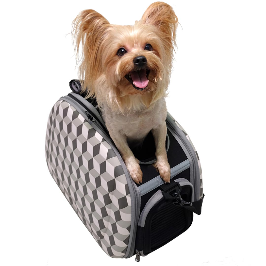 Beautiful dog carrier with 3D pattern at a reasonable price