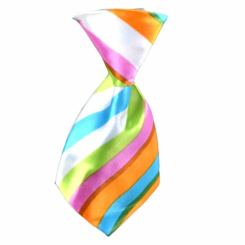 Dog tie multicolored striped