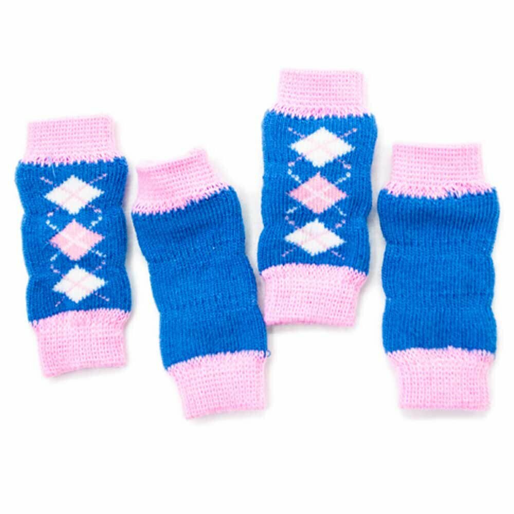 Knitted leggings for dogs blue pink