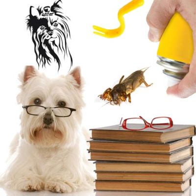 Dog grooming books and utensils for dog grooming