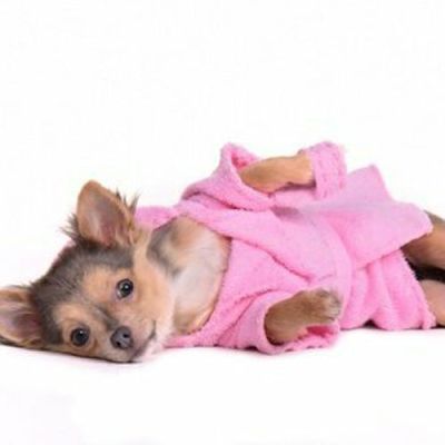 Dog bathrobes