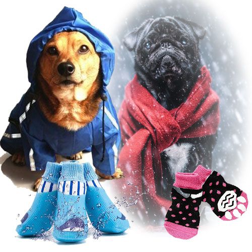 Dog scarf, dog shoes, dog mackintoshes