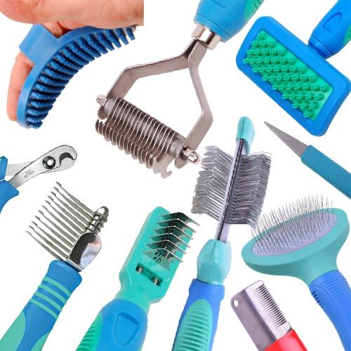 Dog combs, dog brushes and dog grooming tools