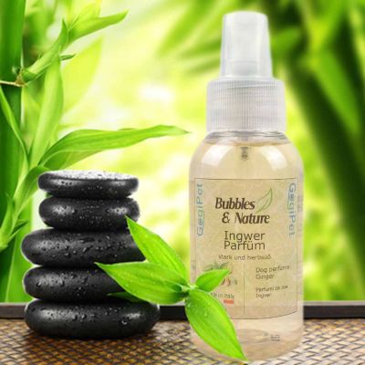 Bubbles & Nature dog perfume with ginger - strong and sweet tart