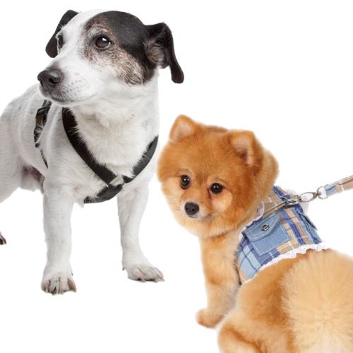 Soft chest harnesses and textile harnesses for dogs